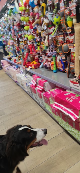 PETSTORE CONAD