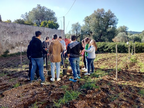 Istituto Tecnico Agrario "Pantanelli-Monnet" (sede Pantanelli)