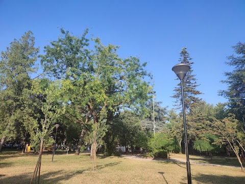 Parco Giochi di Cerea