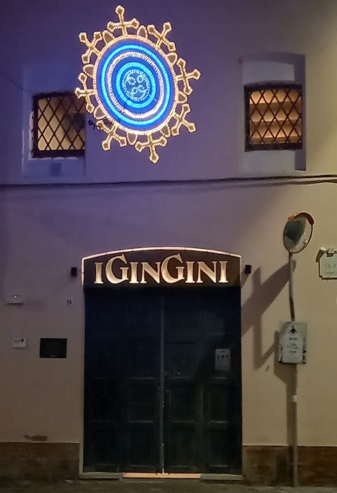 iGinGini