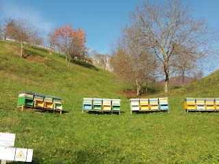 Azienda Agricola Rosaspina di Tanasa Valentina