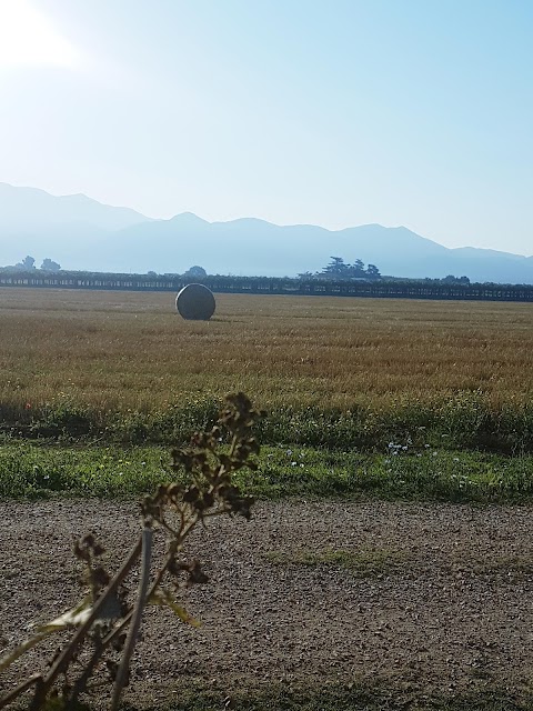 Centro Equestre Ninfa