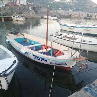 Il Piccolo Taxi Boat Sant'Angelo