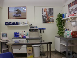 Dr. Pierpaolo Cesario AMBULATORIO VETERINARIO