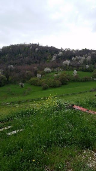 La Torreselle S.R.L. Societa' Agricola