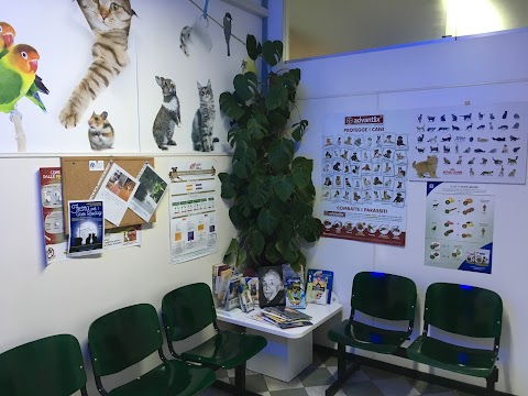 Ambulatorio Veterinario Chirignago