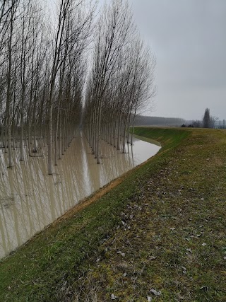 Ponte di Dosso