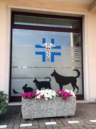 Ambulatorio Veterinario Strà