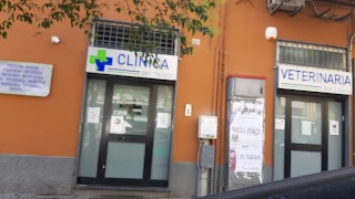 Clinica Veterinaria Laterza