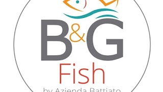 B&G Fish Mercato del Pesce