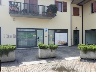 Estetica Body Line Di Moscon Mattea Silvia