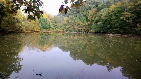 Parco naturale regionale Boschi di Carrega