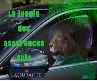 L'ASSURANCE