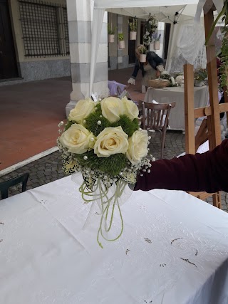 Fiori IL TULIPANO