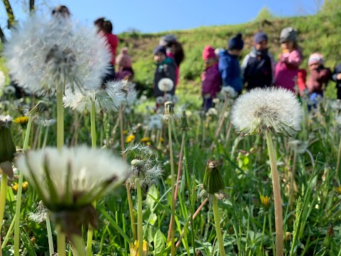 Scuola Natura