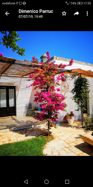 Hotel Masseria l'Ovile