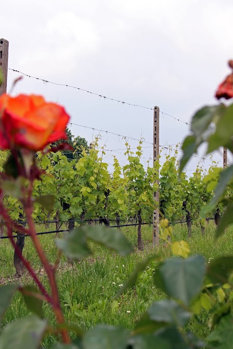 Cascina le Preseglie di Cristina Bordignon e Bertocchi Soc. Agr.