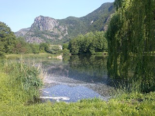 Bar Trattoria Del Lago