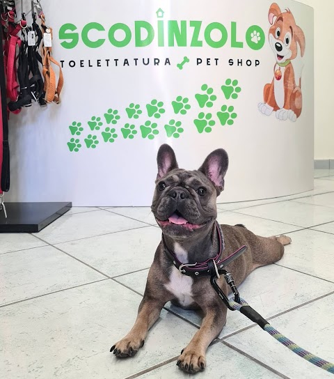 Scodinzolo - Toelettatura & PetShop