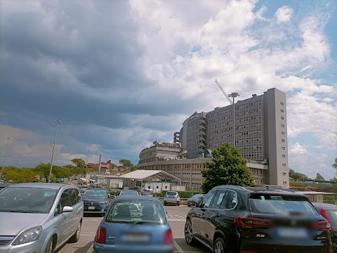 Azienda ospedaliero - universitaria Sant'Andrea