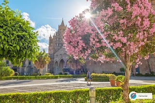 Palermo Blu