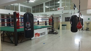 Palestra boxe rodio brindisi