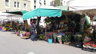 Fiori E Piante Di Lorenzo Bertoli