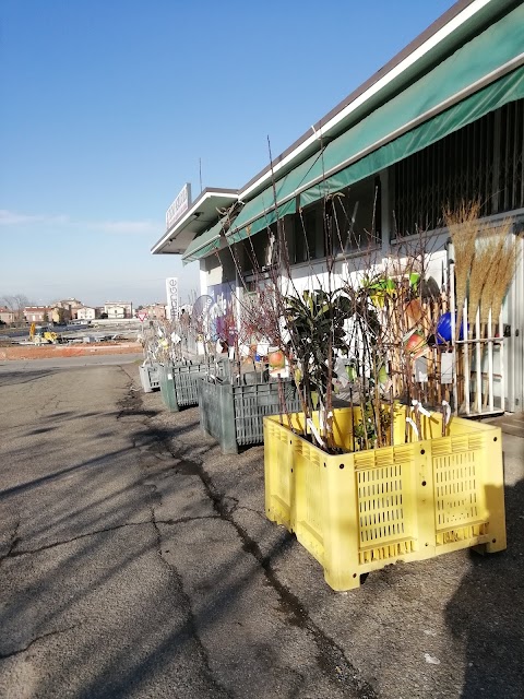 Tecnoagricola Fiorano