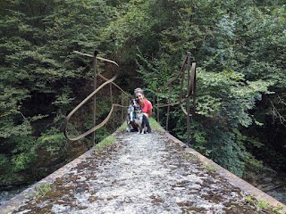 Lago du Beo