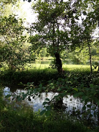 Agriturismo Le Cascine