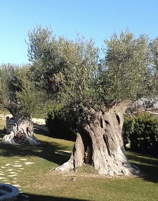 Agriturismo San Michele in Triglie