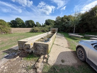 Università agraria di Oriolo Romano