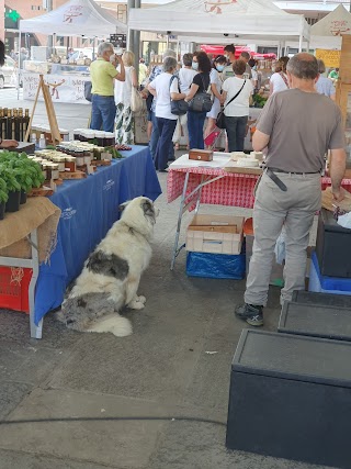 Ok Market Saluzzo