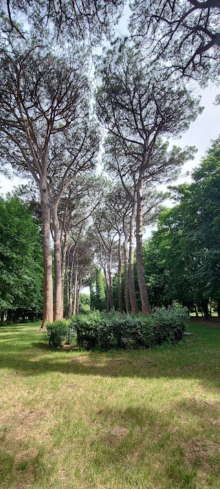 Pineta della Reggia di Caserta