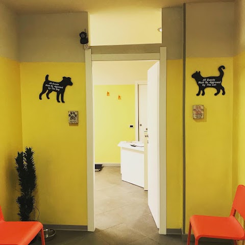 Ambulatorio Veterinario Pontevico