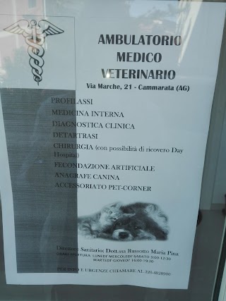 Ambulatorio Veterinario Dott.ssa Russotto