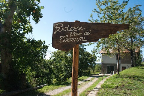 Terapia Forestale | Podere Pian dei Termini | San Marcello Piteglio