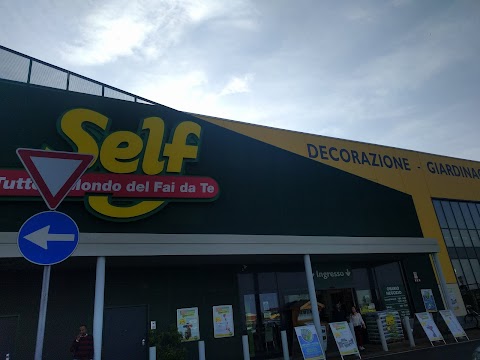 Self Carmagnola