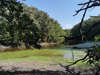 Bosco tre Cancelli