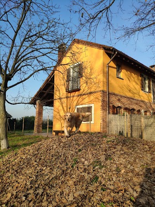 Cascina Canina