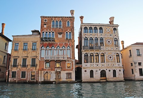 ShoMe Venice Tours