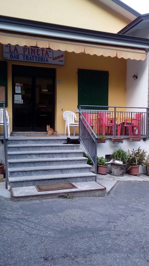 Trattoria Pineta