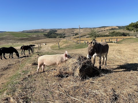 Agriturimo Re Tarquinio