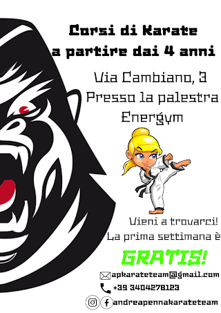 ASD Andrea Penna Karate Team