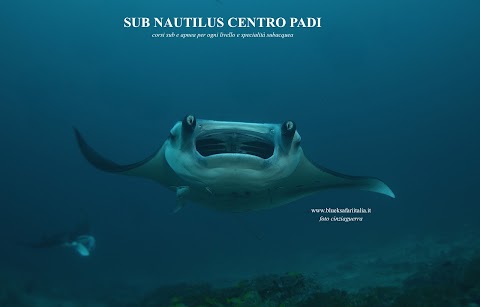 sub nautilus centro PADI - EFR - DAN PARTNER