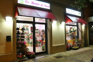 Un Mondo di Fiori