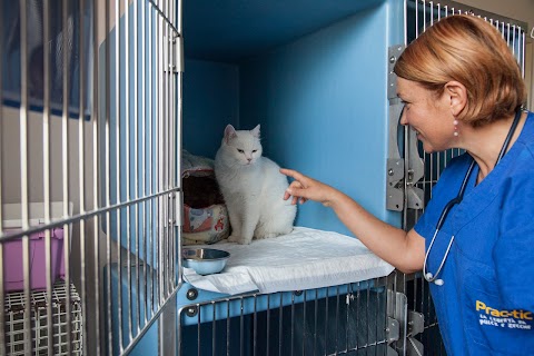 Studio Veterinario La Fenice