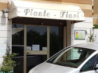 Piante E Fiori GEA