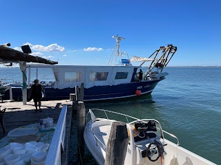 Pescaturismo Chioggia Kociss 2