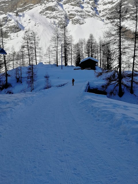 Lago Pellaud